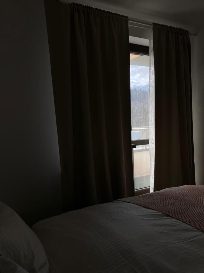 Ioana'S Apartament Leilighet Sinaia Eksteriør bilde