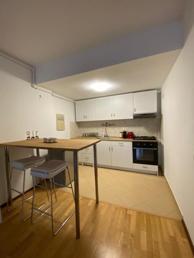 Ioana'S Apartament Leilighet Sinaia Eksteriør bilde