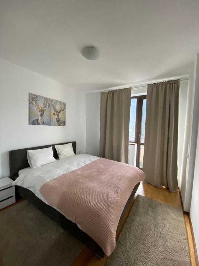 Ioana'S Apartament Leilighet Sinaia Eksteriør bilde