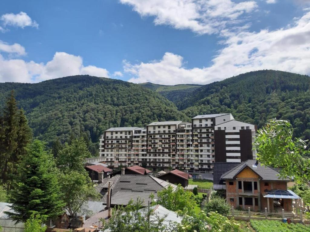 Ioana'S Apartament Leilighet Sinaia Eksteriør bilde